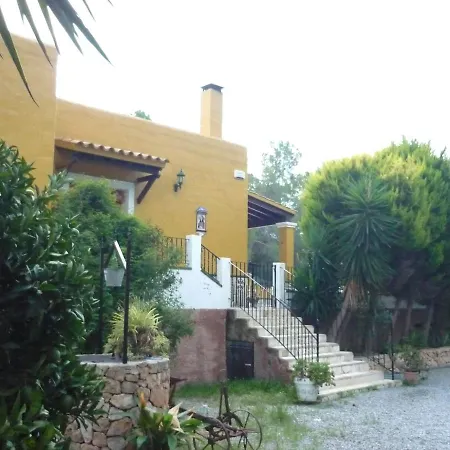 Rocio San Antonio (Ibiza)